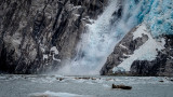 The Northwestern Fjord