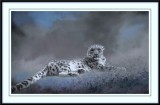 Artistic Animals...