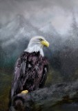 Eagle....