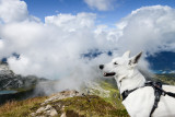 2022 ☆ Alps ☆ Hiking in Bernese Alps (Switzerland)