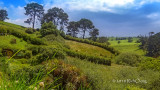 Storm in the Shire