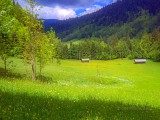Garmisch to-Partnachalm-meadow