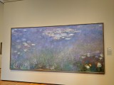 Monet: Water Lilies (Agapanthus)