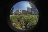 Urban parkette @f22 5D