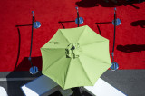 Red carpet & green parasol D700