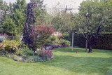 Backyard 1 Reala