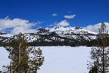 Springtime in the High Sierra