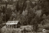 Times Past