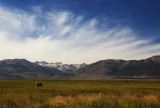 Sawtooth Horizon