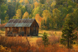 Hopeful Autumn