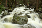 Relentless Spring Flow