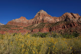 Zion Beauty