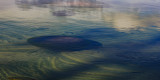 Lake Tahoe Abstract