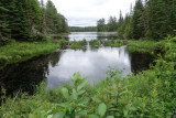 ALQ June 2020_15.JPG