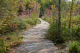 Sharbot Lake Sept 2020_06.JPG