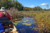 Bon Echo Sept 2020_10.JPG