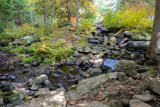 Silent Lake Sept 2020_12.JPG