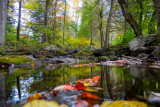 Silent Lake Sept 2020_13.JPG