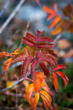 ALQ PK Oct 2020_92.JPG