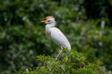 St Augustine FL-55.jpg