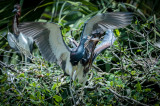 St Augustine FL-57.jpg
