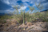 Tucson-17.jpg