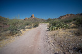 Phoenix-7.jpg