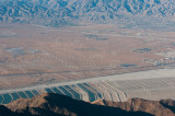 Palm Springs-10.jpg