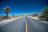 Palm Springs-21.jpg