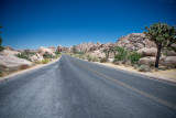 Palm Springs-24.jpg
