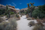 Palm Springs-29.jpg