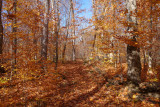 ALQ PK Oct 2019_038.JPG