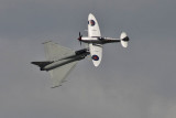 Waddington 2010