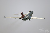 Waddington 2013