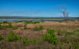 From the visitor center at the Paynes Prairie Preserve State Park.  We passed those fires