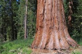 Yosemite National Park, Sep 2019