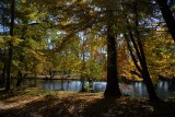 Parc de Majolan Blanquefort France