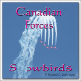 Snowbirds copy.jpg