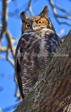 DSC_5691.jpg