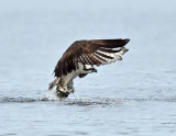 D6A_7801_.jpg