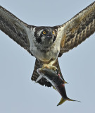 D6A_7973_.jpg