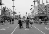 A Trip to the County Fair