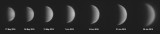 Venus Over Seven Weeks, 2015