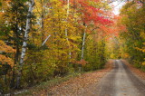 Fall Backroads