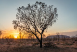 DSC_7170 <p> Uluru