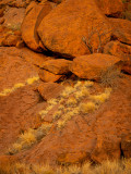 DSC_7462  Uluru