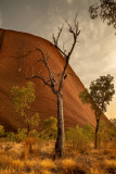 DSC_7470 Uluru