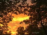 Sunset from My Yard