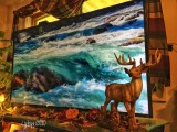 Virtual Trip Outdoors