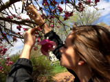 In Praise of Poetry-Song-Haiku